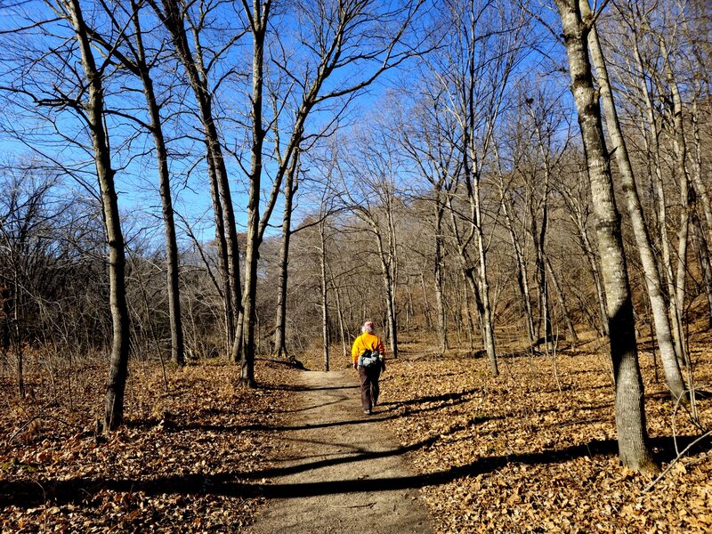 On Trail 8 in late fall.