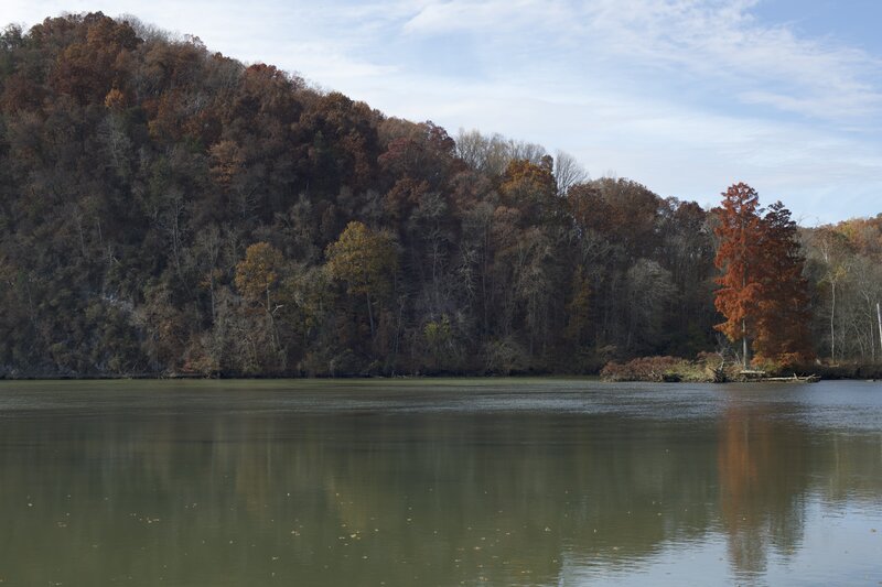 Beautiful views of the French Broad River, especially when the leaves change color, can be enjoyed along the Seclusion Bend Trail.