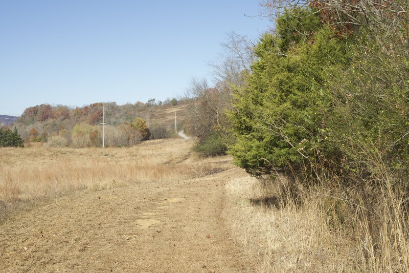 The trail runs along the border of the woods and the meadows above the Maple Leaf Barn.