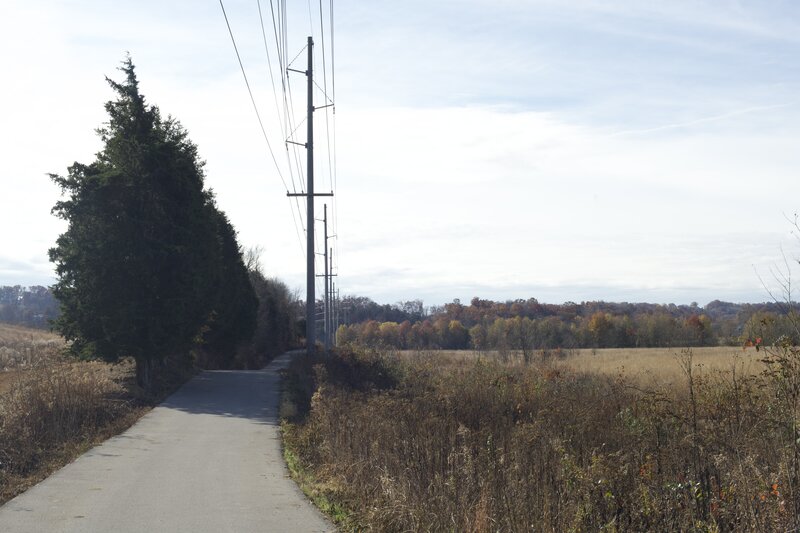 The trail works its way through fields where birds can be seen on the shrubs, and nice views of the park surround you.