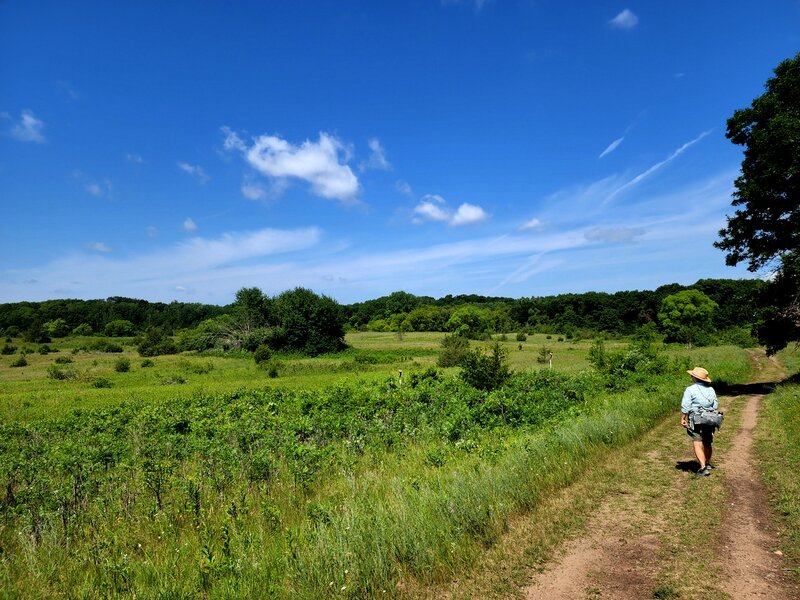 Past prairie on the Nelson Farm Trail.