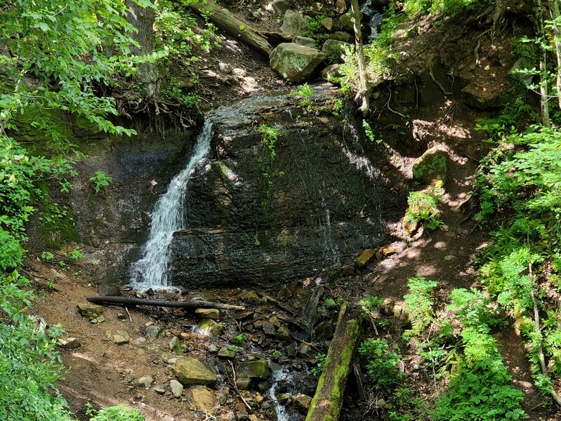 Silverbrook Falls