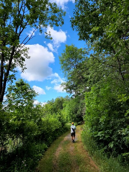 On the Silverbrook Trail in the summer.