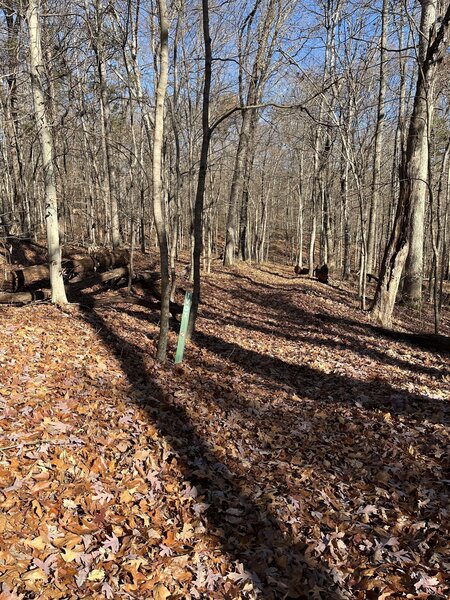 Red Cedar Trail Hiking Trail, Doe Valley, Kentucky