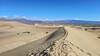 Mesquite Flat Sand Dunes