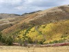 Skopska Crna Gora Mountain