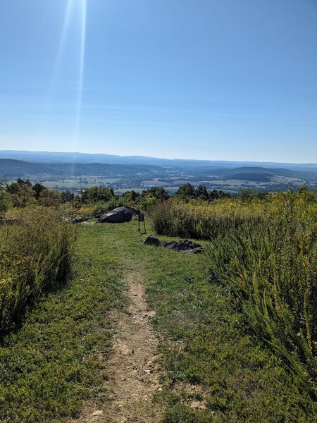 On a clear day, you can see all the way to Tyson's Corner from the Piedmont Memorial Overlook near the Whitehouse Ambassador Trail.