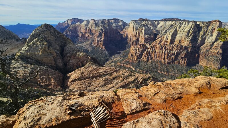 Deertrap Mountain Trail