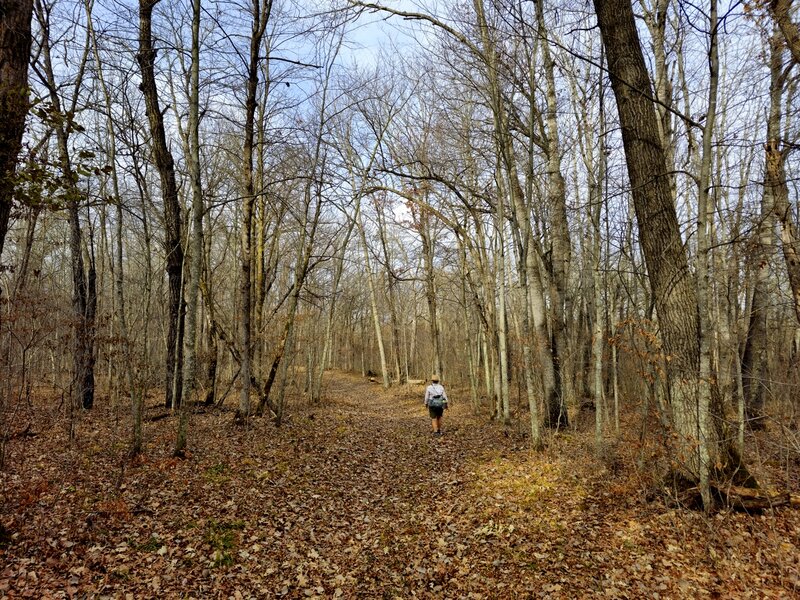 On the Sunrise Trail