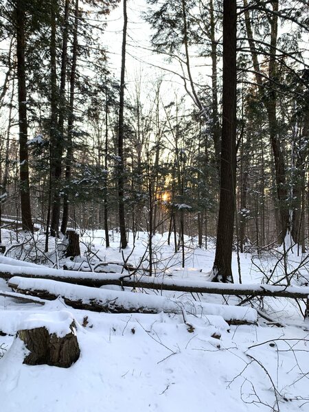 Sunset in Mont Bellevue while running in winter.