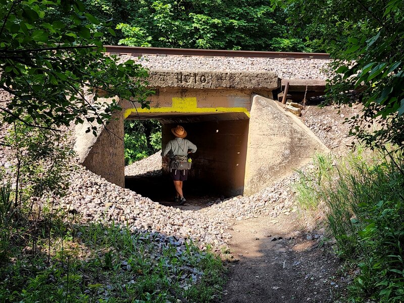 Passing under the railroad tracks on the Rabbit Trail.