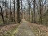 The paved trail rolls through the woods, allowing everyone to enjoy the forest around them.