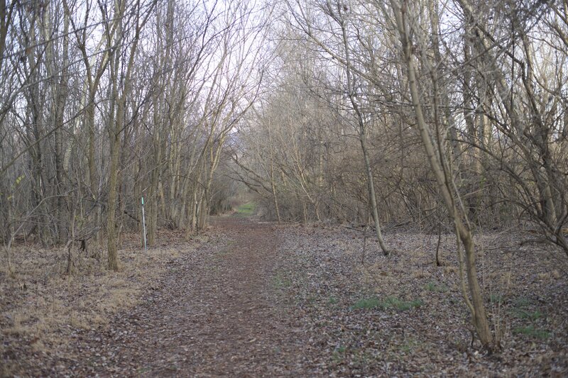 The Longhunter Loop Trail moves through the woods along a wide dirt and grass trail.