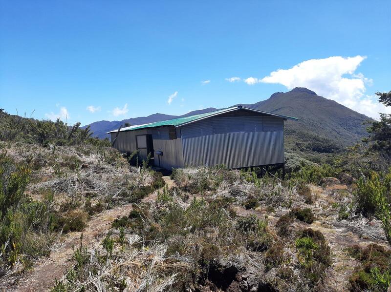 The hut at Paseo de Los Indios.