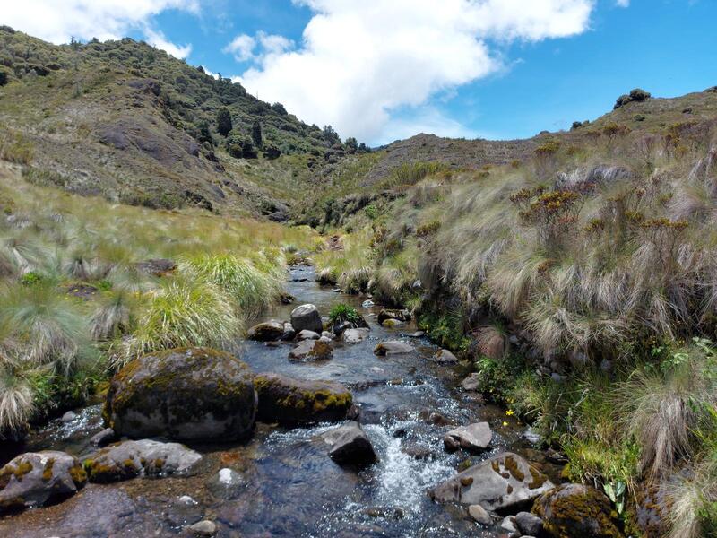 Crossing at the Rio Terbi