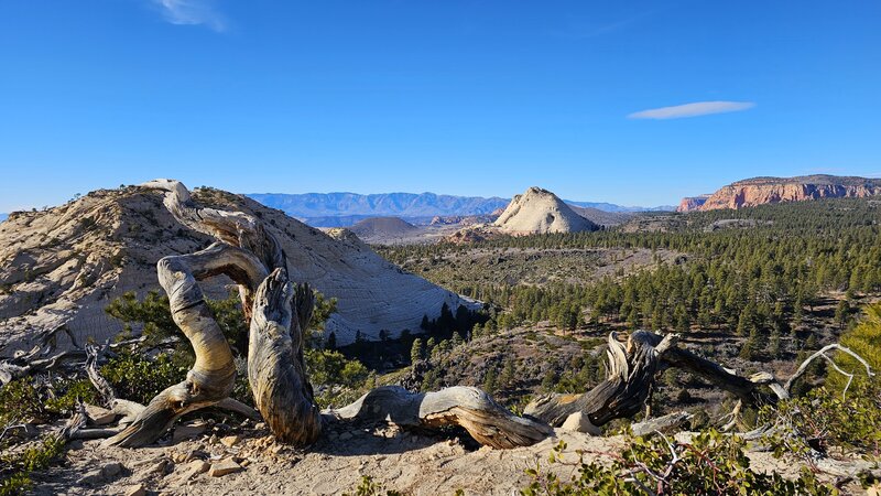 View from the Eastern Peak of North Gate Peaks.