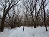 On the Pike Island loop trail in winter.