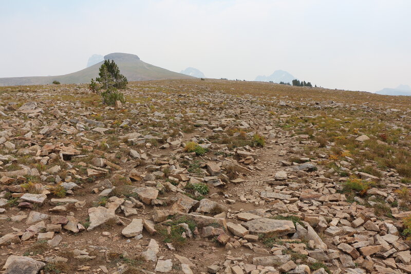 Very rocky past the 024 and 029 junction taken 8/24/2021.