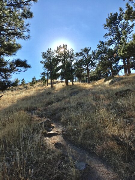 Hogsbacks Ridge Hogback Ridge Trail Hiking Trail, Boulder, Colorado