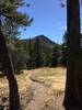 Bear Peak West Ridge, view of SBP.