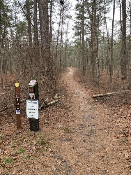 Yellow Furnace Loop trailhead located at the parking lot.