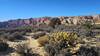 Whiterocks Trail, Snow Canyon State Park