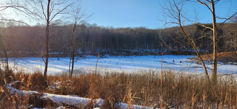 Patoka Lake cove off of Trail 1 in winter.