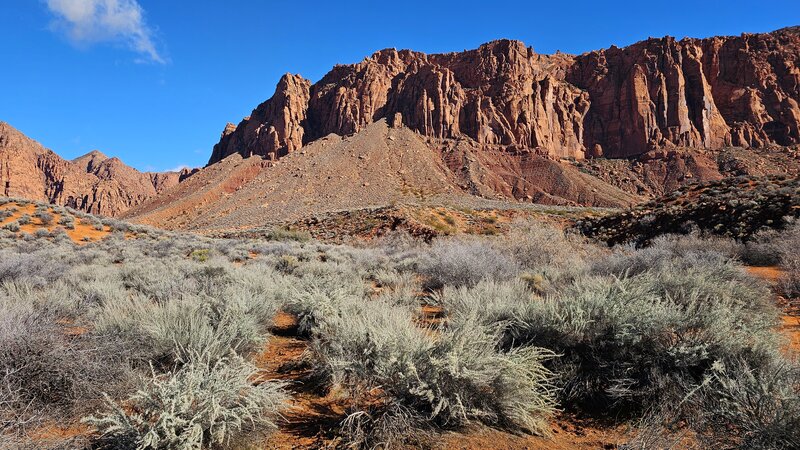 Hellhole Trail, Kayenta Canyon