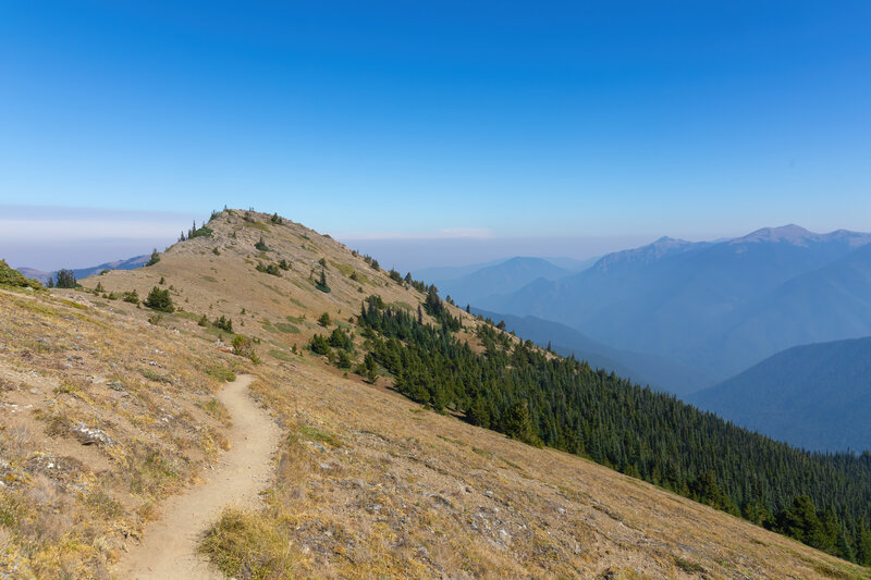 View to the east from Maiden Peak.