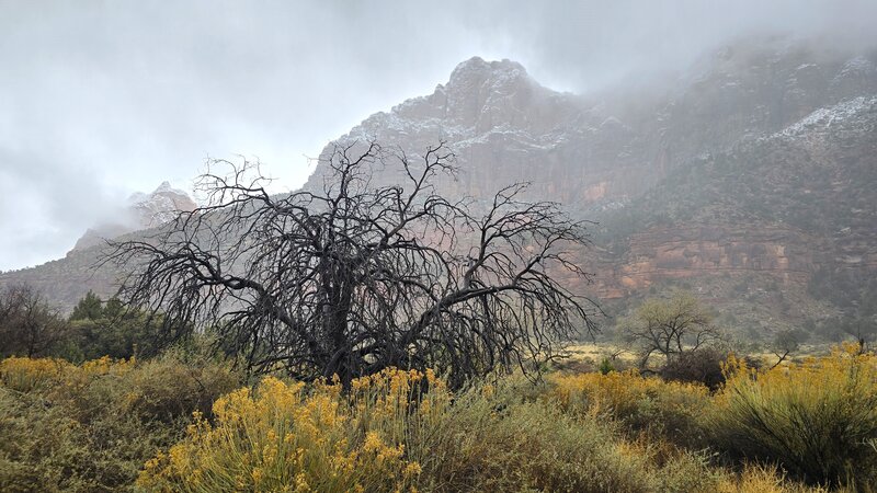 View from the trail