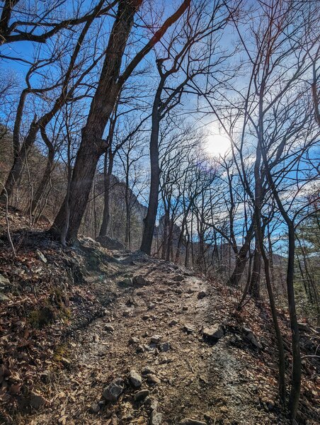 Hiking up the switchbacks at Seneca Rocks in February.