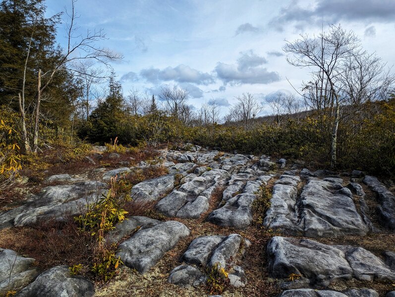 Hiking up to the top of the Moon Rocks.