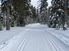 Freshly groomed trail by the BMLT Blues Crew.