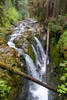 Sol Duc Falls