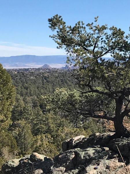 Vista Ridge Top Trail 0317 Prescott, AZ.