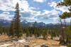 Tuolumne Meadows