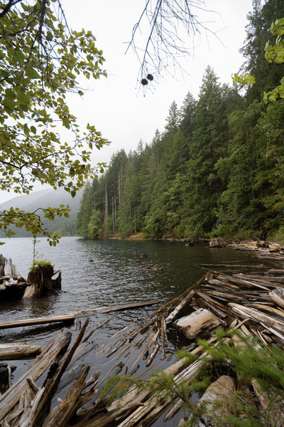 View of Lake Cushman