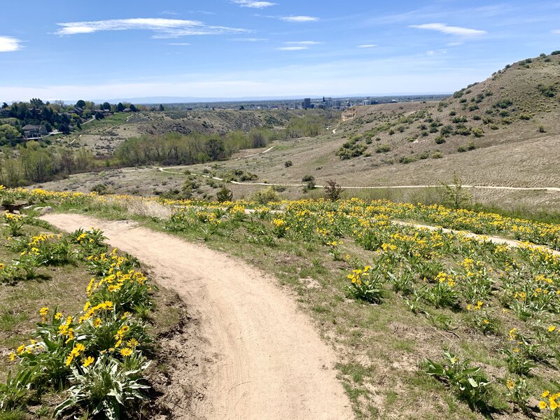 Central Ridge Point Ridge Crest - Central Ridge Loop Hiking Trail, Boise, Idaho