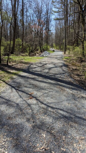 View from road at trailhead