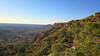 Early morning on John Hayes Ridge.