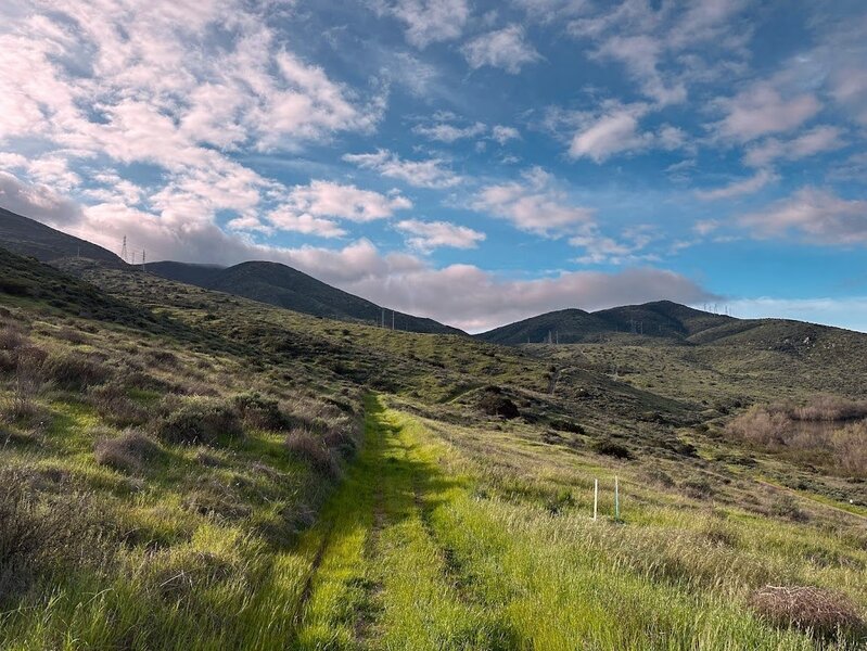 Green fields of early spring on the trail.