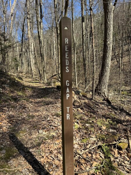 Trail marker pole