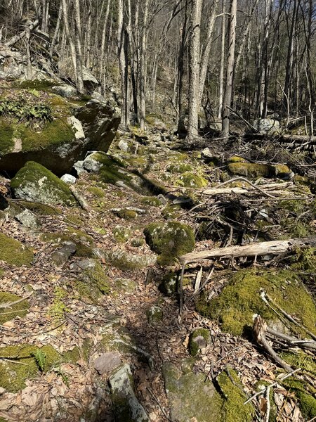 Initial climb up Reeds Gap