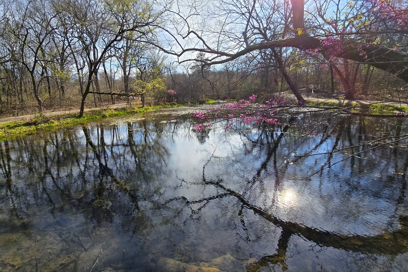 Beaver Pond