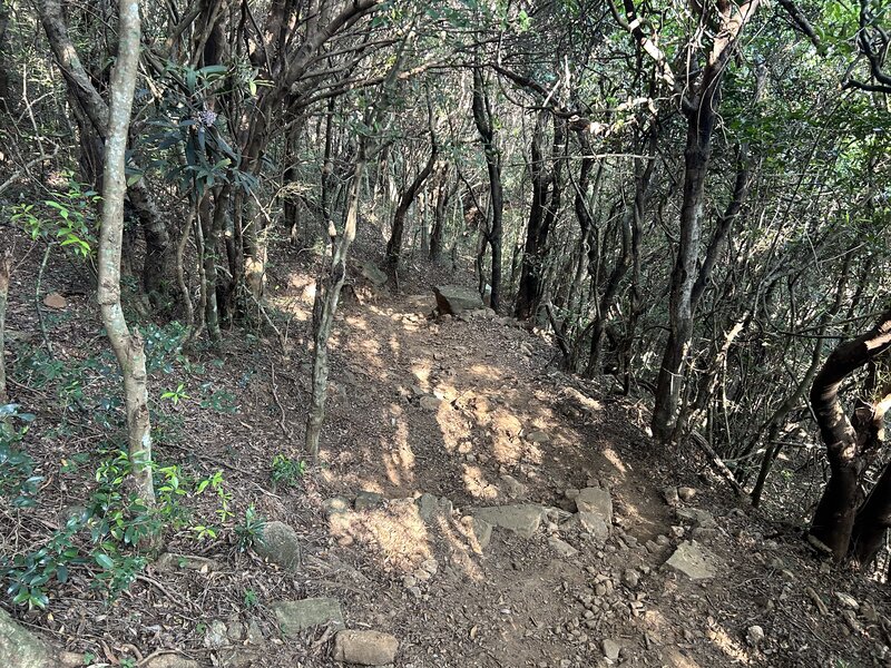 Trail