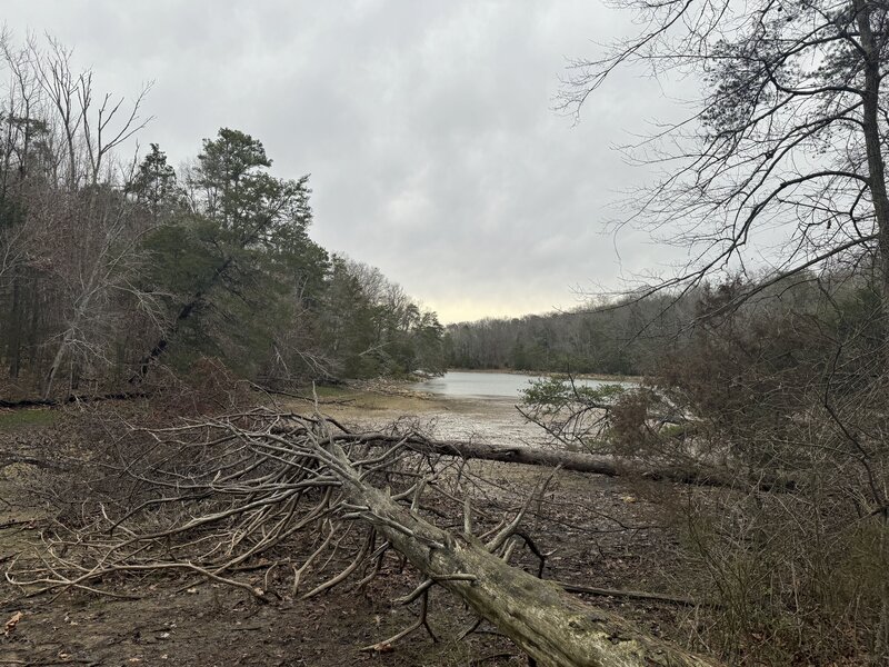 The Lakeshore Loop Trail follows the Tennessee River/Lake Chickamauga for a short distance. In the winter, water levels may be down, but the trail offers a quieter view of the lake than other areas of the park.