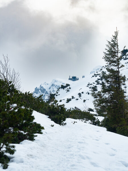 Look up towards summit from green trail.