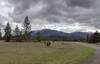 Bernard Peak (center) and Chilco Mountain (right) seen looking southeast from Buggy Trail in Farragut State Park.