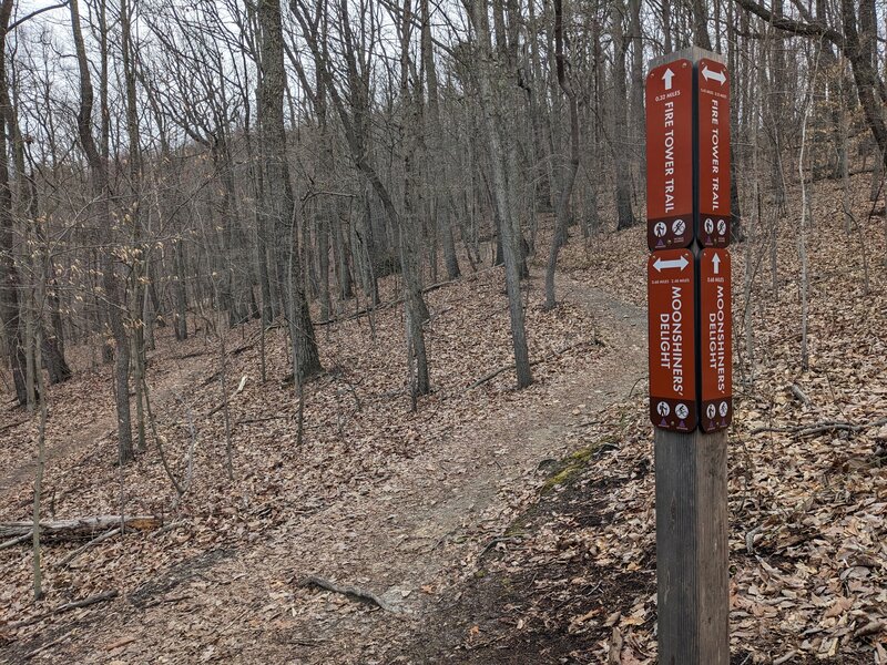 Moonshiners' Trail at Fire Tower Trail