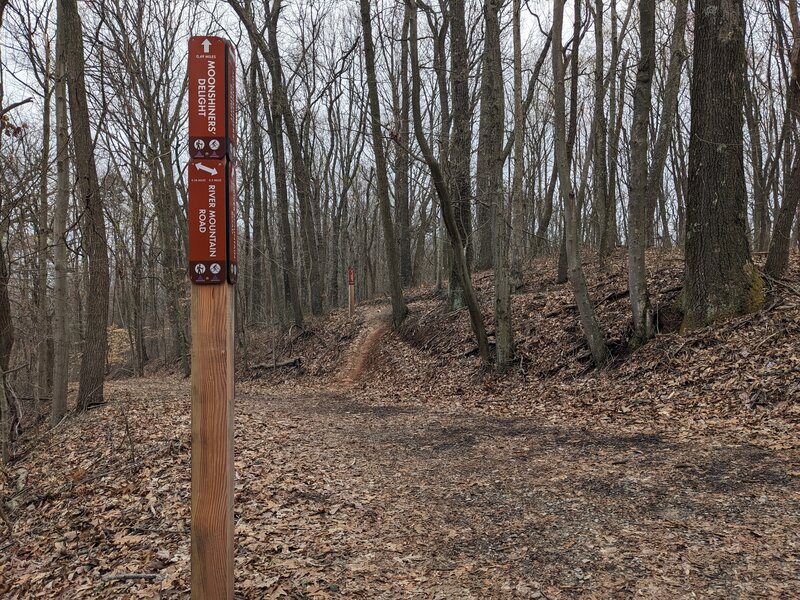 Moonshiners' Trail and River Mountain Road intersection